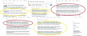 About Bay Area SEO Search Results