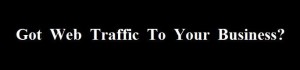 Got SEO Bay Area Search Optimization?